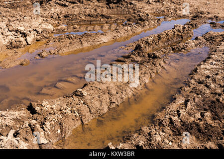 Ornières remplies d'eau sur un chemin de terre au printemps. Banque D'Images