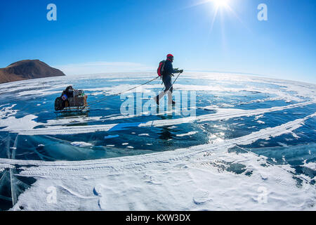 Homme avec un traîneau et pôle trekking est sur la glace du lac Baïkal. Banque D'Images