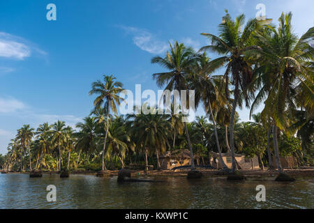 Aziza Île dans le fleuve Volta, Ada Foah, Région Grand Accra, Ghana, Afrique Banque D'Images