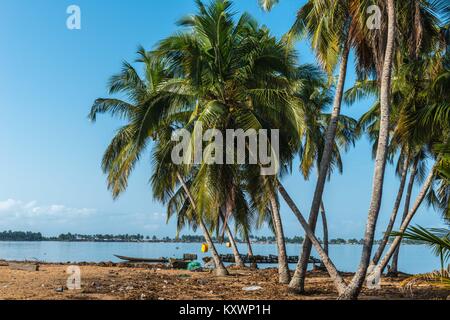 Aziza Île dans le fleuve Volta, Ada Foah, Région Grand Accra, Ghana, Afrique Banque D'Images