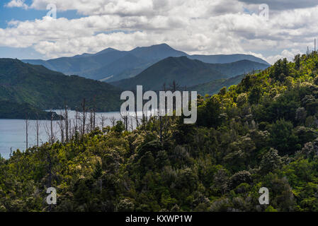 Marlborough Sound à Queen Charlotte drive, Marlborough, Nouvelle-Zélande Banque D'Images