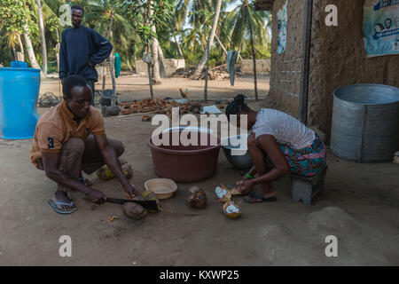 La coupe en deux moitiés de noix de coco, et de couper la viande hors de la coquille. Production de l'huile de noix de coco,Aziza Island dans le fleuve Volta, Ada Foah, grande Banque D'Images