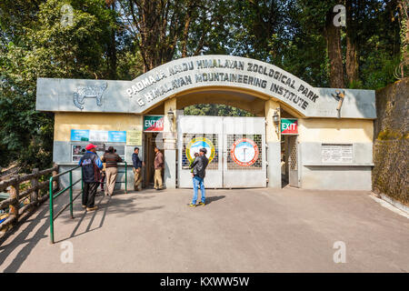 DARJEELING, INDE - Le 18 novembre 2015 : Padmaja Naidu Himalayan Zoological Park à Darjeeling, en Inde. Banque D'Images