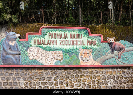 DARJEELING, INDE - Le 18 novembre 2015 : Padmaja Naidu Himalayan Zoological Park à Darjeeling, en Inde. Banque D'Images