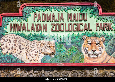 DARJEELING, INDE - Le 18 novembre 2015 : Padmaja Naidu Himalayan Zoological Park à Darjeeling, en Inde. Banque D'Images