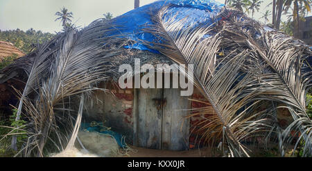 La moitié de l'étang de pêche (pandal) couvertes de feuilles de palmier sur les rives de la mer d'Arabie, les filets de pêche sont sur le point de. Kerala Banque D'Images