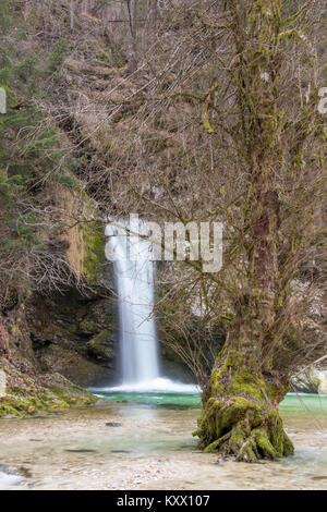 Petit arbre et de belles chutes d'eau Banque D'Images