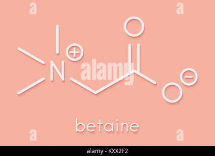 (Bétaïne glycine bétaïne, trimethylglycine) molécule. Initialement trouvé dans le sucre de betterave (Beta vulgaris). Formule topologique. Banque D'Images