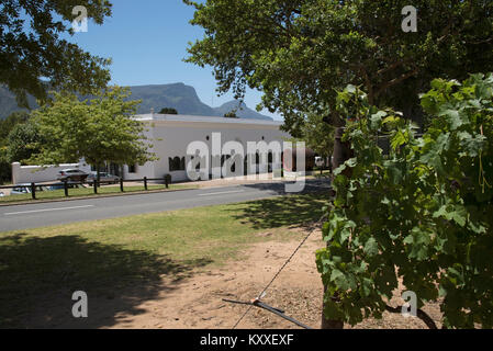 Constantia région Western Cape Afrique du Sud. Décembre 2017. Cave et vente à Groot Constantia Landgoed estate. Banque D'Images