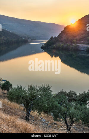 Le fleuve Douro au coucher du soleil entre Folgosa et Pinhao. Dans la région viticole du Haut-Douro, Nord du Portugal Banque D'Images