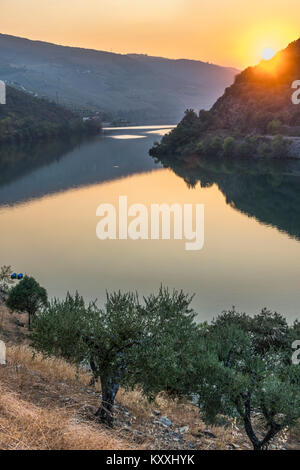 Le fleuve Douro au coucher du soleil entre Folgosa et Pinhao. Dans la région viticole du Haut-Douro, Nord du Portugal Banque D'Images
