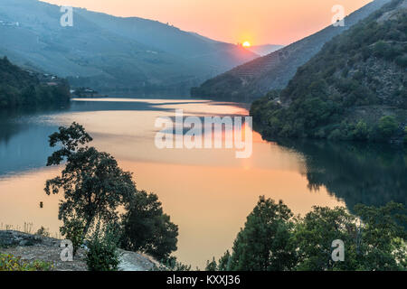 Le fleuve Douro au coucher du soleil entre Folgosa et Pinhao. Dans la région viticole du Haut-Douro, Nord du Portugal Banque D'Images