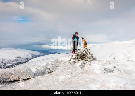 Hiver Femme hiker avec chien sur le sommet de la montagne enneigée Meall Doire Faid a Graham) avec vue sur le Loch Broom et le Wester Ross coast, Écosse Banque D'Images