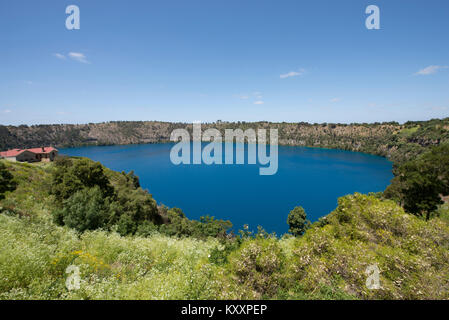 Le lac bleu à Mount Gambier en Australie du Sud. Il transforme une vibrante couleur bleu cobalt entre décembre et mars de chaque année. Banque D'Images