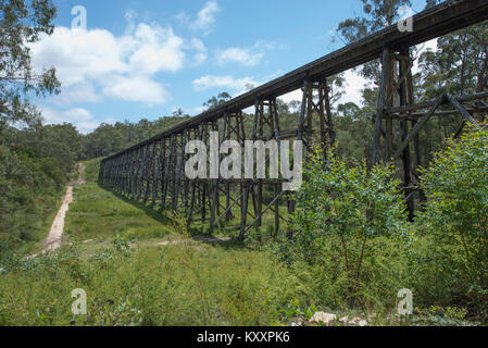 Le Stony Creek Trestle Bridge à Nowa Nowa a été construit en 1916. C'est le plus grand pont permanent de son genre dans l'état de Victoria, Australie. Banque D'Images