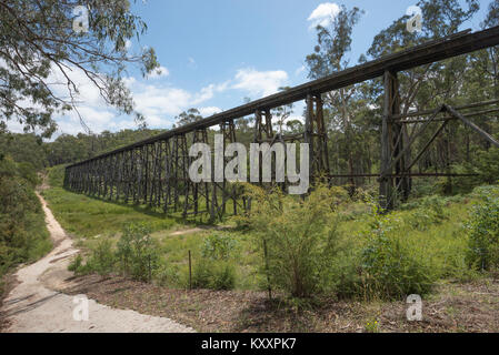 Le Stony Creek Trestle Bridge à Nowa Nowa a été construit en 1916. C'est le plus grand pont permanent de son genre dans l'état de Victoria, Australie. Banque D'Images