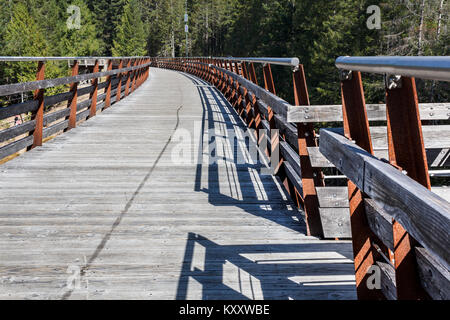 Par un beau jour d'été ombres sur les garde-corps tombent sur la promenade du pont sur chevalets Kinsol, un sentier de randonnée populaires enjambant la rivière Kokshilah. Banque D'Images