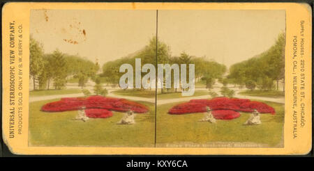 Cette vue stéréoscopique du boulevard Eutaw place à Baltimore offre une perspective historique sur l'architecture de la rue et le paysage urbain, capturant un moment dans le développement de la ville. Banque D'Images