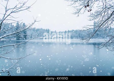 Maison d'hiver dans la forêt enneigée, sur le lac. Banque D'Images