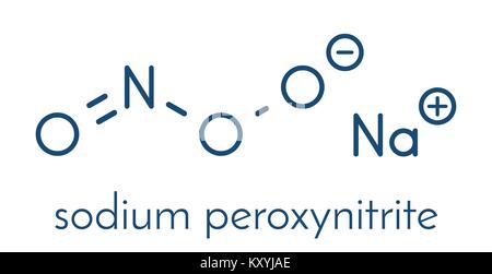 Le peroxynitrite (sodium) molécule d'espèces d'azote réactif. Formé par la réaction de l'oxyde nitrique radicaux superoxyde et dans le corps humain. Illustration de Vecteur