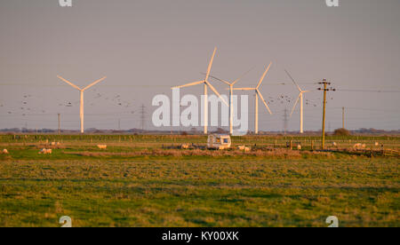 Petite cour Cheyne parc éolien sur la côte sud près de Camber, East Sussex. Banque D'Images