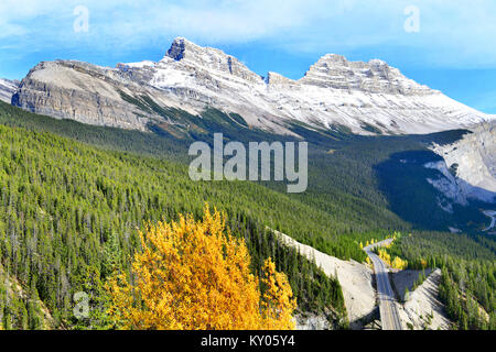 La route 93 belle "Promenade des Glaciers" à l'automne le Parc National de Jasper, Canada Banque D'Images