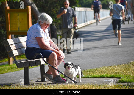 Hauts femme assise seule au parc avec son chien au Boulevard Park à Fairhaven Bellingham Washington, USA. Le chevalet qui va sur la Bellin Banque D'Images