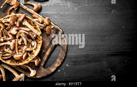 Les champignons frais miel panier dans agarics. Sur le tableau noir. Banque D'Images