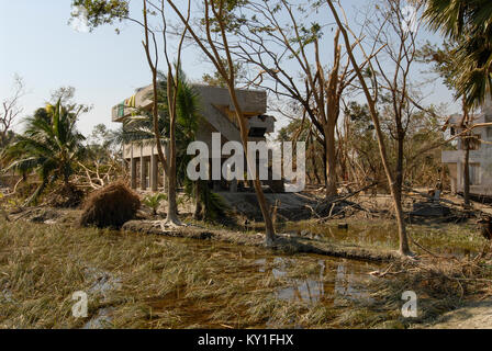 Le cyclone Sidr au Bangladesh , la marée haute et détruisent des villages dans le district de Bagerhat , Southkhali en abri inondation cyclone entre arbres détruits Banque D'Images