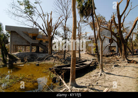 Le cyclone Sidr au Bangladesh , la marée haute et détruisent des villages dans le district de Bagerhat , Southkhali en abri inondation cyclone entre arbres détruits Banque D'Images