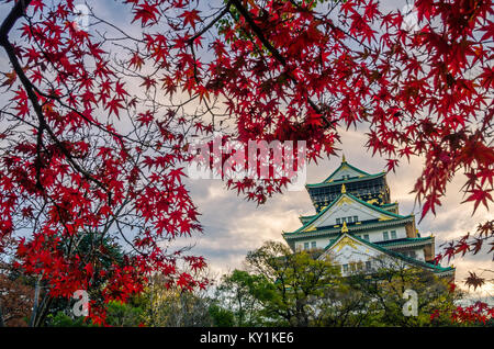 Le Château d'Osaka est un château japonais dans Chūō-ku, Osaka, Japon. Le château est l'un des sites les plus célèbres du Japon. Banque D'Images