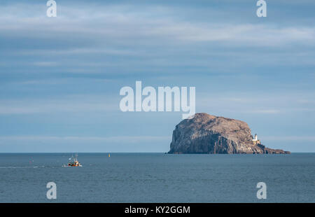 East Lothian, Écosse, Royaume-Uni. Un bateau de pêche près de Bass Rock. Bass Rock est une île rocheuse dans le Firth of Forth et est le reste d'une prise de volcan Banque D'Images