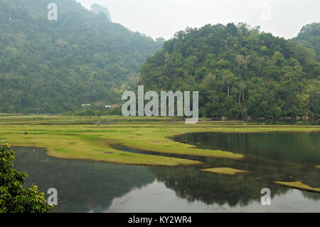 Réflexion matinale sur les bords du lac, le parc national de Ba Be, le nord Vietnam Banque D'Images