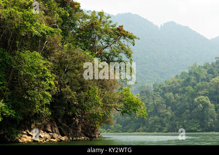 Montagnes et forêts tropicales, le parc national de Ba Be, le nord Vietnam Banque D'Images