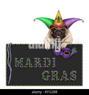 Pug dog Mardi gras avec Carnival hat, perles et masque de Venise accroché sur tableau noir signe avec texte, isolé sur fond blanc Banque D'Images