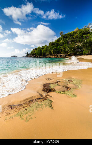 Belle plage de Soleit sur île tropicale, Mahé, Seychelles Banque D'Images