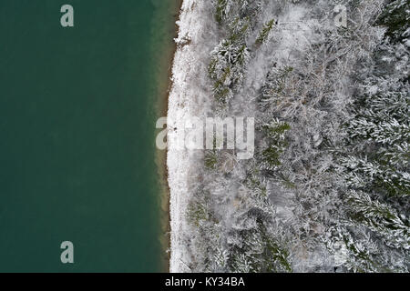 Forêt de conifères couverts de neige le long de la côte de la mer Banque D'Images