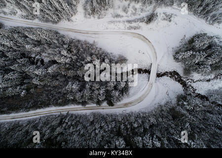 Route sinueuse qui traverse la forêt couverte de neige Banque D'Images