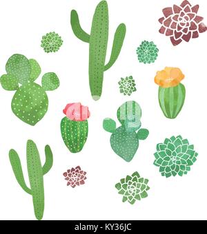 Cactus/plantes grasses cute modèle vectoriel continu aquarelle Illustration de Vecteur