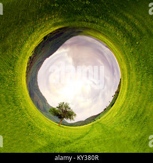 Projection stéréographique projection panoramique d'un champ vert et seul arbre dans l'été Banque D'Images