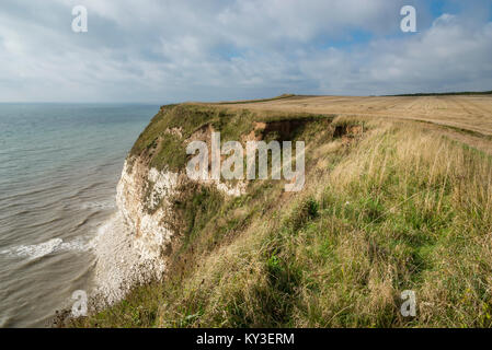 Les falaises de craie hautes à Flamborough Head, North Yorkshire, Angleterre. Banque D'Images