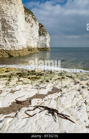 Les falaises de craie blanche à Selwicks Bay sur la côte est de l'Angleterre. Flamborough, North Yorkshire, Angleterre. Banque D'Images