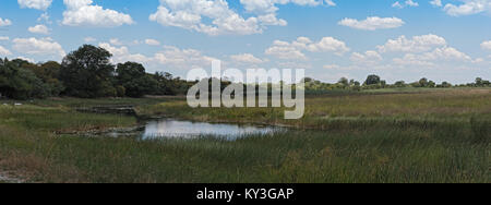 Marais de Linyanti sur la frontière du Botswana, Namibie Banque D'Images