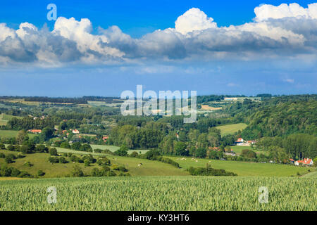 Paysage rural de l'arrière-pays de Boulogne-sur-Mer, 'arriere pays boulonnais' près de Beussent ( Hauts-de-France, nord de la France) Banque D'Images