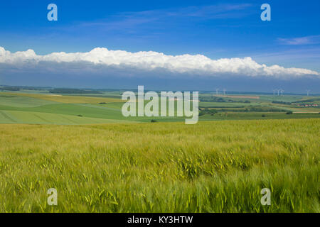 Paysage rural de l'arrière-pays de Boulogne-sur-Mer, 'arriere pays boulonnais' près de Widehem ( Hauts-de-France, nord de la France) Banque D'Images