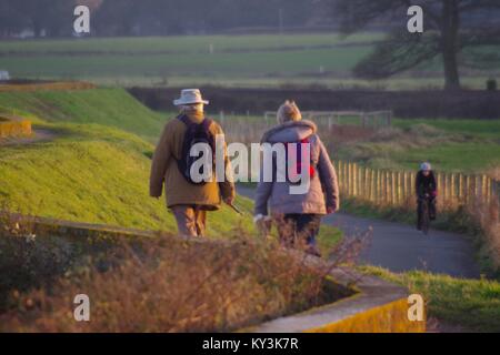 L'homme et la femme Couple d'âge moyen chien marcher le long de l'estuaire Exe Sentier, du turf Hotel à Powderham dans la lumière dorée du soir. Devon, Royaume-Uni. Banque D'Images