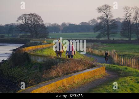 L'homme et la femme Couple d'âge moyen chien marcher le long de l'estuaire Exe Sentier, du turf Hotel à Powderham dans la lumière dorée du soir. Devon, Royaume-Uni. Banque D'Images