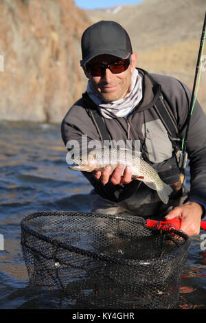 L'homme pêche de mouche sur la rivière Salmon dans l'Idaho, USA Banque D'Images