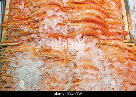 Crevettes fraîches sur la glace pour la vente à un marché Banque D'Images