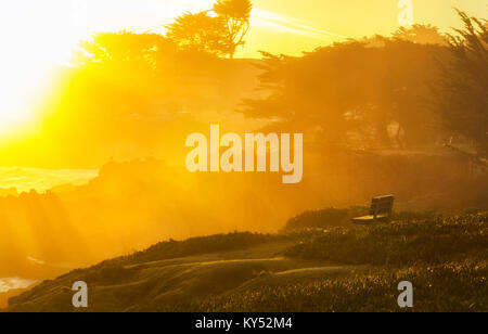 Au lever du soleil, banc à Benzick Park à Monterey, Californie Banque D'Images